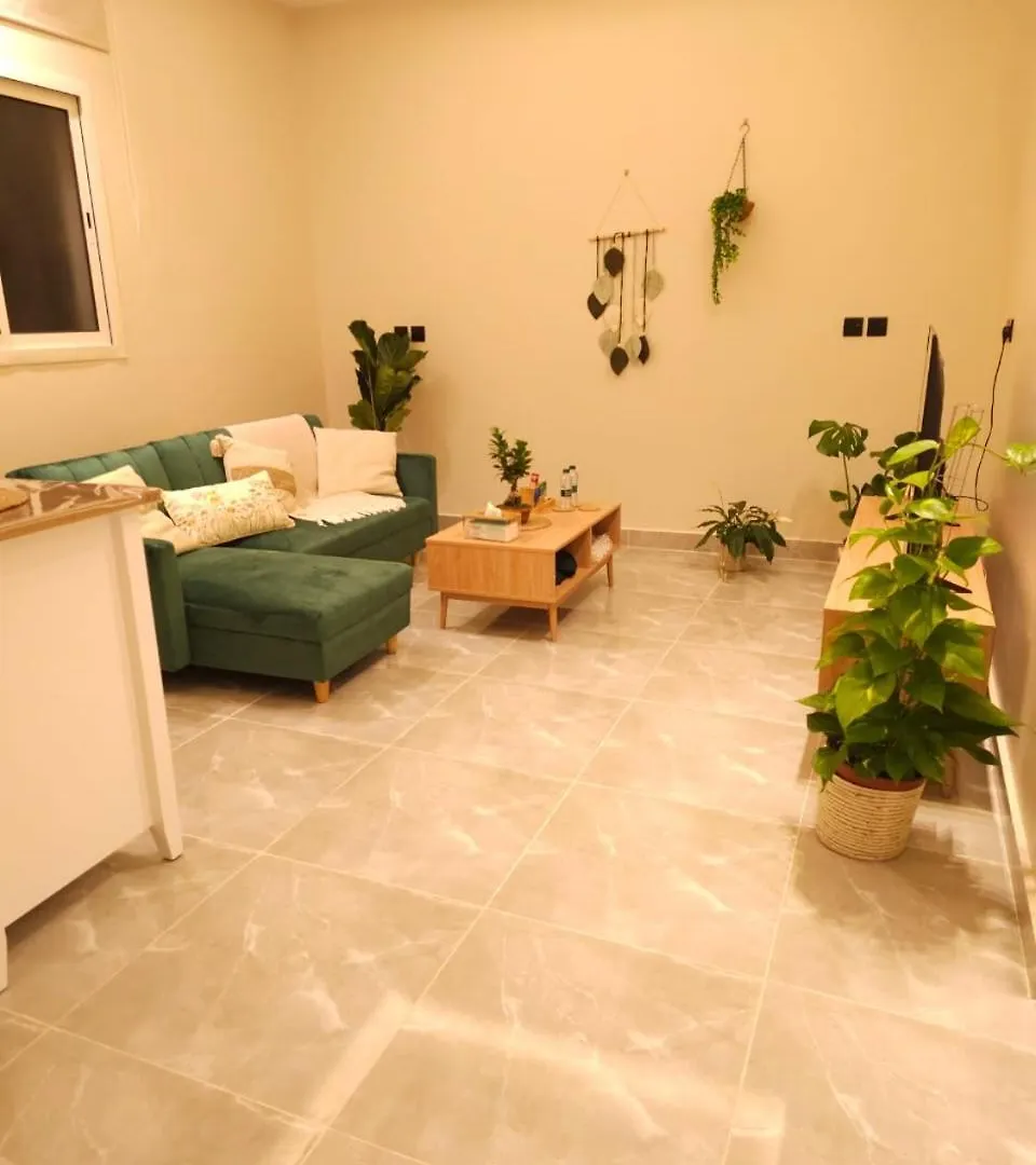 Relaxing Apartment Riyadh